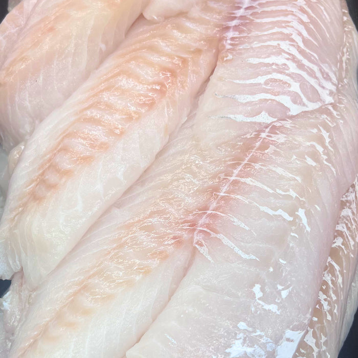 Fresh Icelandic Cod Fillet