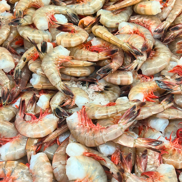 Fresh Gulf Shrimp