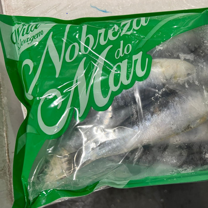 Frozen Sardines – Large