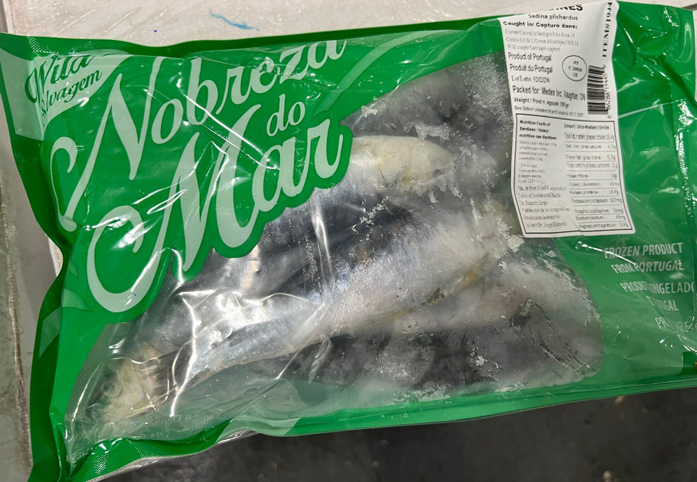 Frozen Sardines – Large