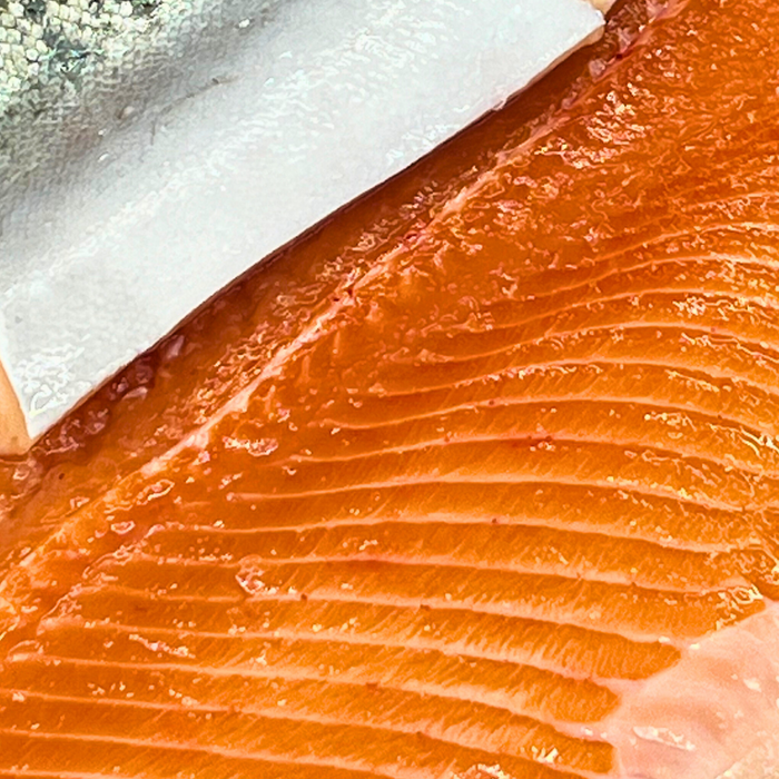 Fresh Rainbow Trout
