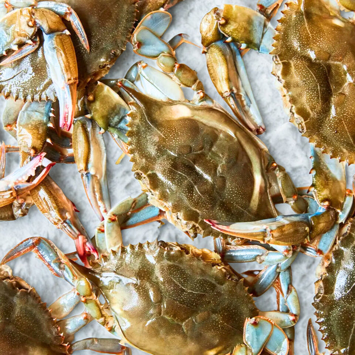 Frozen Soft Shell Crab