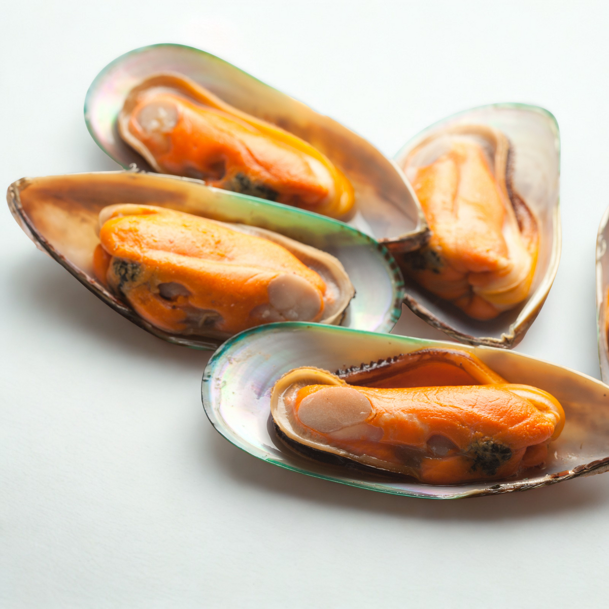 Frozen New Zealand Mussels – Medium Size– Diana's Seafood