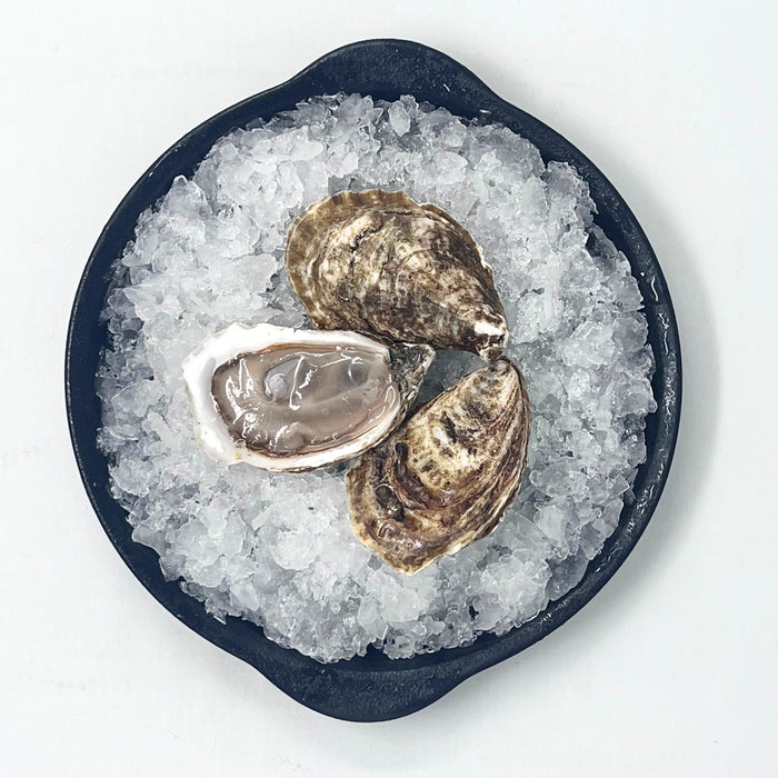 Acadian Gold Oysters – 100 or 12 Count