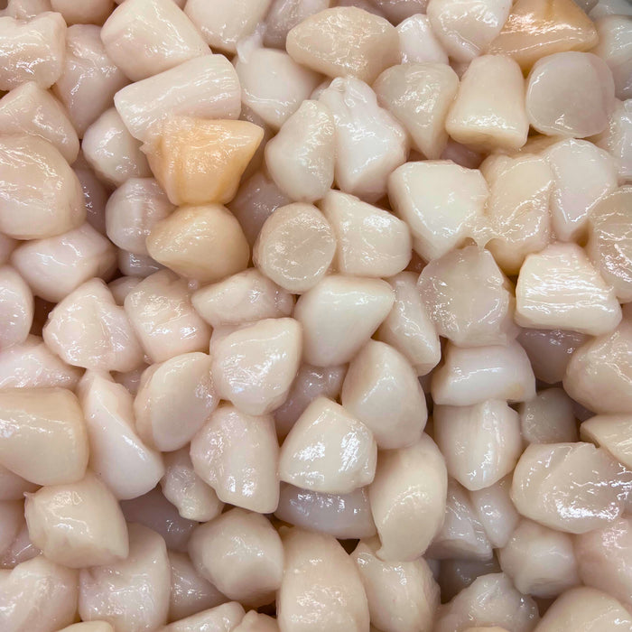 Bay Scallops