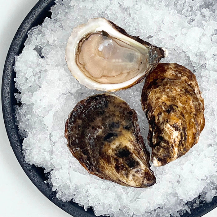 Beausoleil Oysters – 24 Count