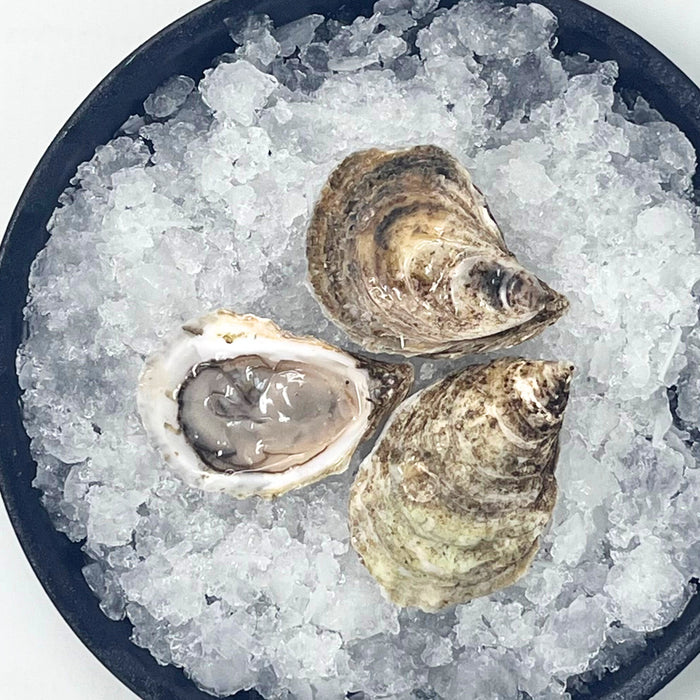 Belle du Jour Oysters – 100 or 12 Count