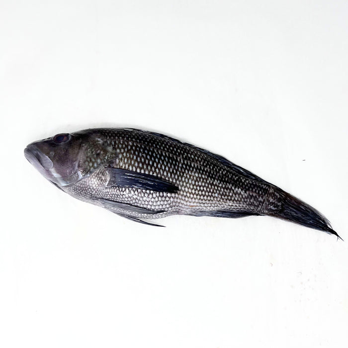 Whole Black Bass