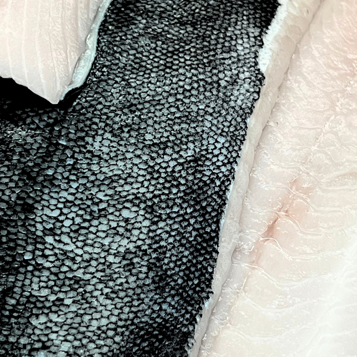 Wild Black Cod Fillets