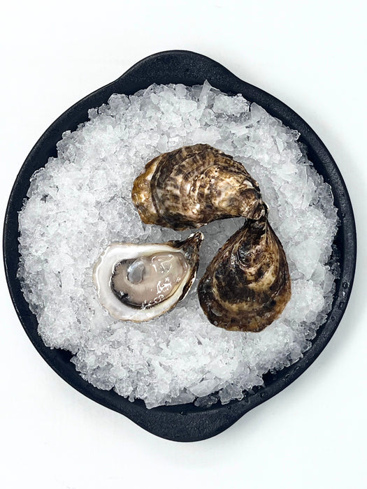 Special Sale: $1 Oysters – Black Magic Cocktail