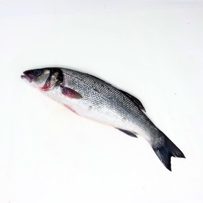 Whole Branzino
