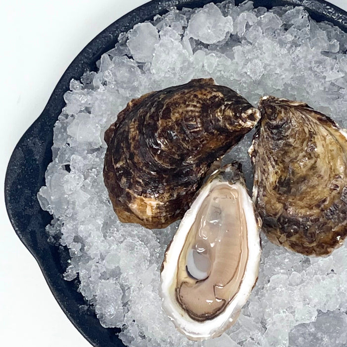 Cascumpec Bay Oysters (Small) – 100 or 12 Count