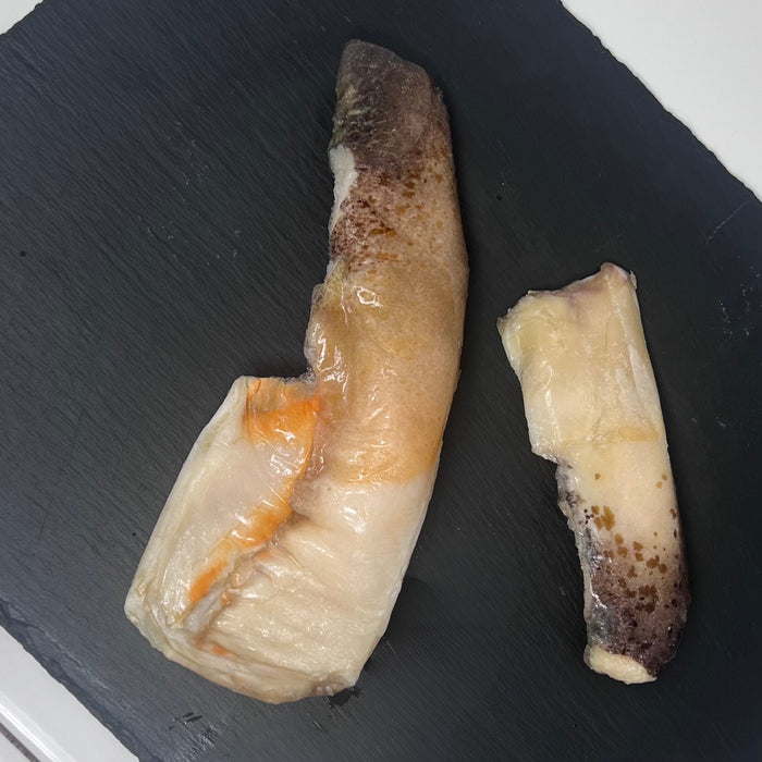 Conch Meat (XL)
