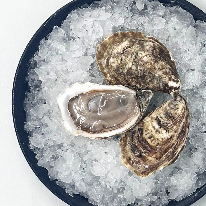 Chebooktook Bay Oysters – 100 or 12 Count