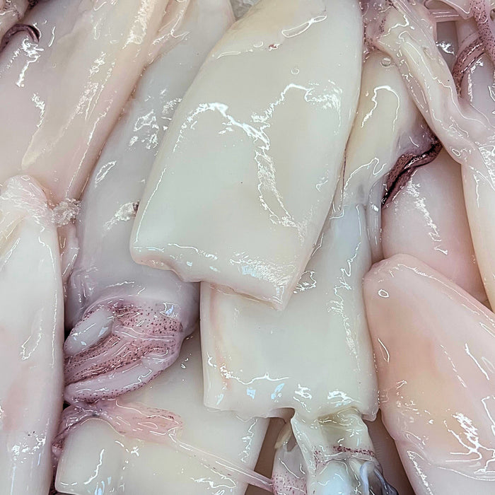 Cleaned Squid