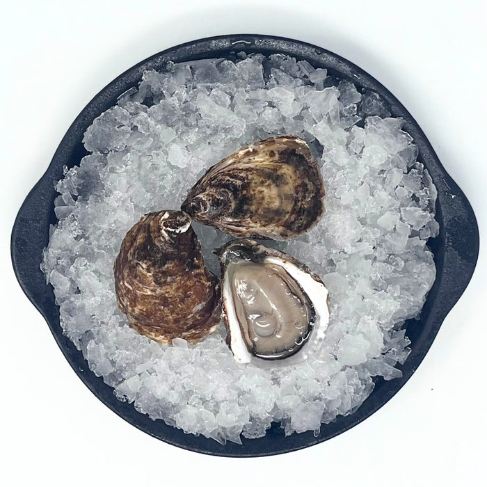 Foxley River Oysters – 100 or 12 Count