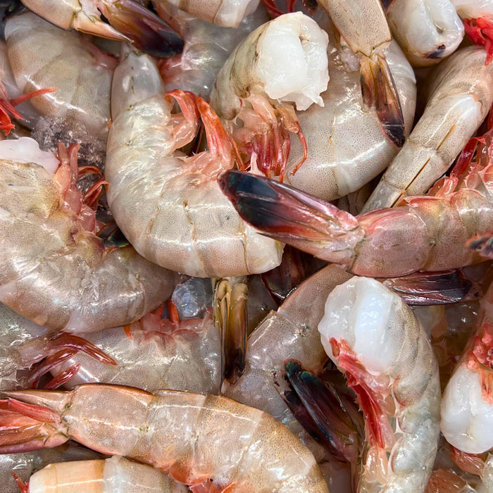 Fresh Gulf Shrimp