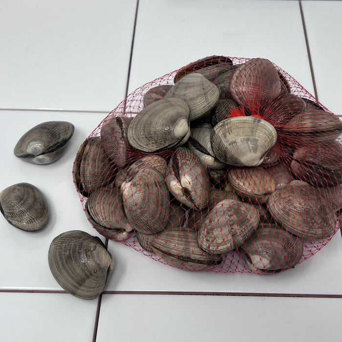 Live Manila Clams – 2LB