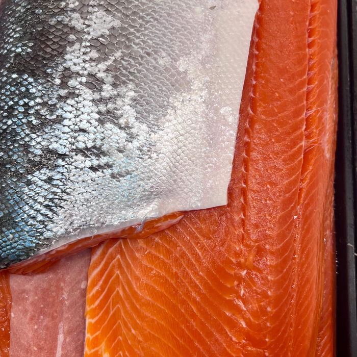 Wild BC Sockeye Salmon