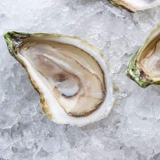 High Rollers Oyster