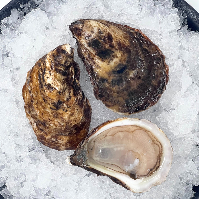 Island Pearl Oysters - 100 Count