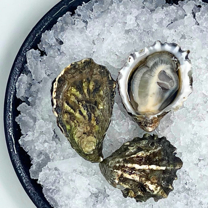 Kumamoto Oysters – 60 or 12 Count