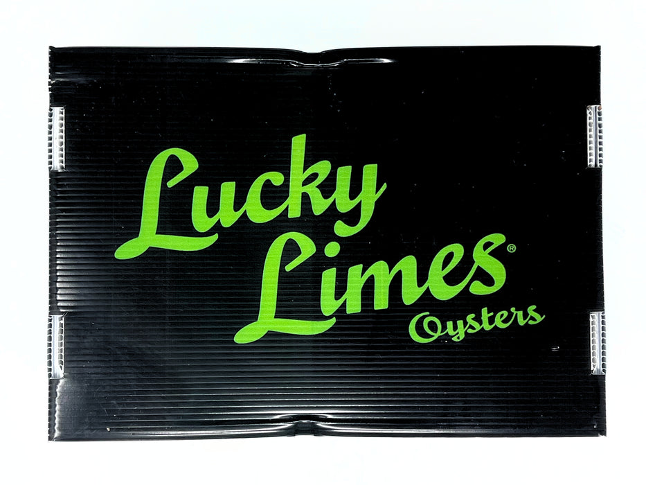 Lucky Lime Oysters – 100 or 12 Count