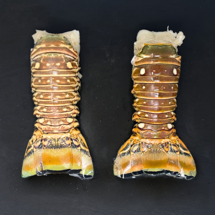 Frozen Lobster Tails (2 Pack)