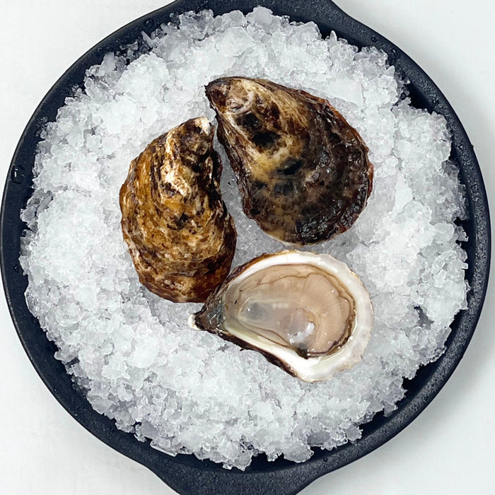 Malpeque Oysters – 100 or 12 Count