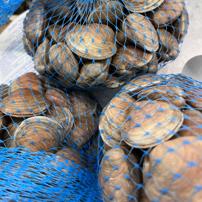 Live Pasta Clams