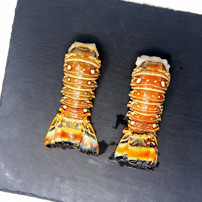 Frozen Lobster Tails (2 Pack)