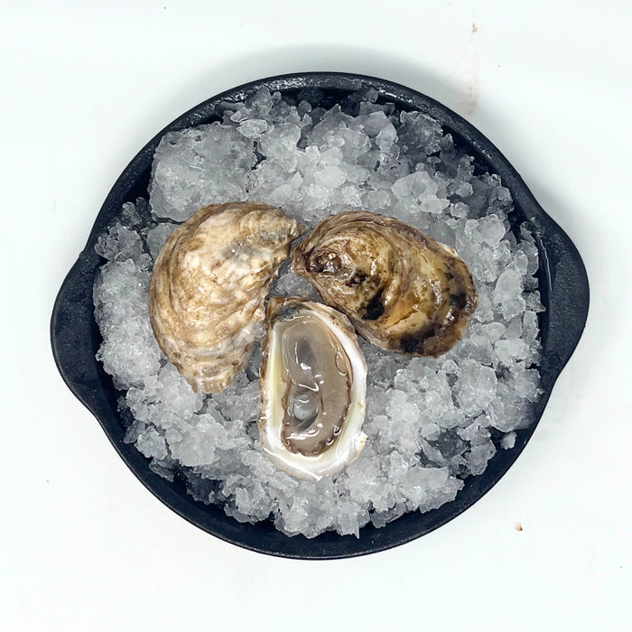 Raspberry Point Oysters – 100 or 12 Count