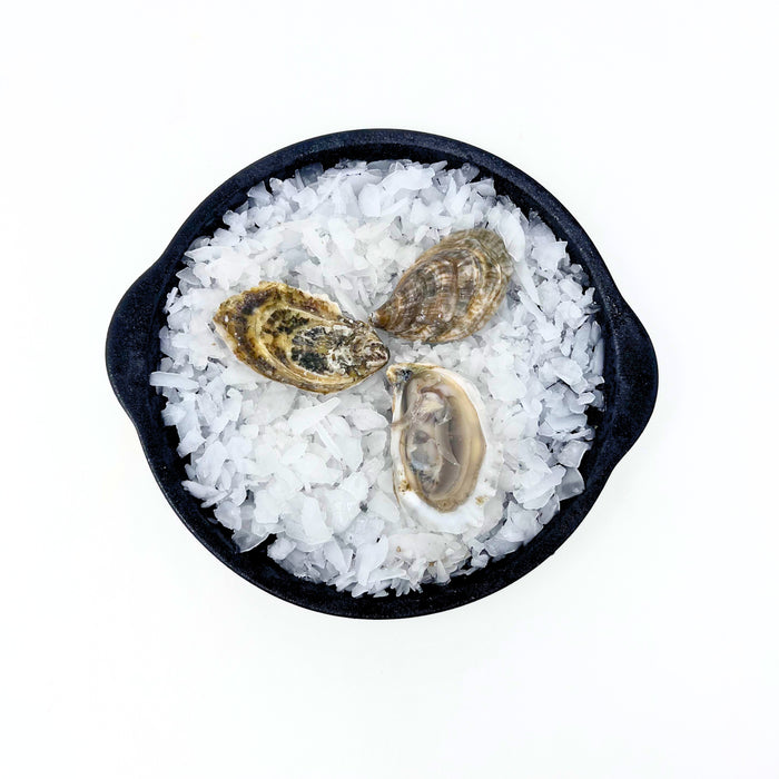 Rock Hole Oysters $1 Special