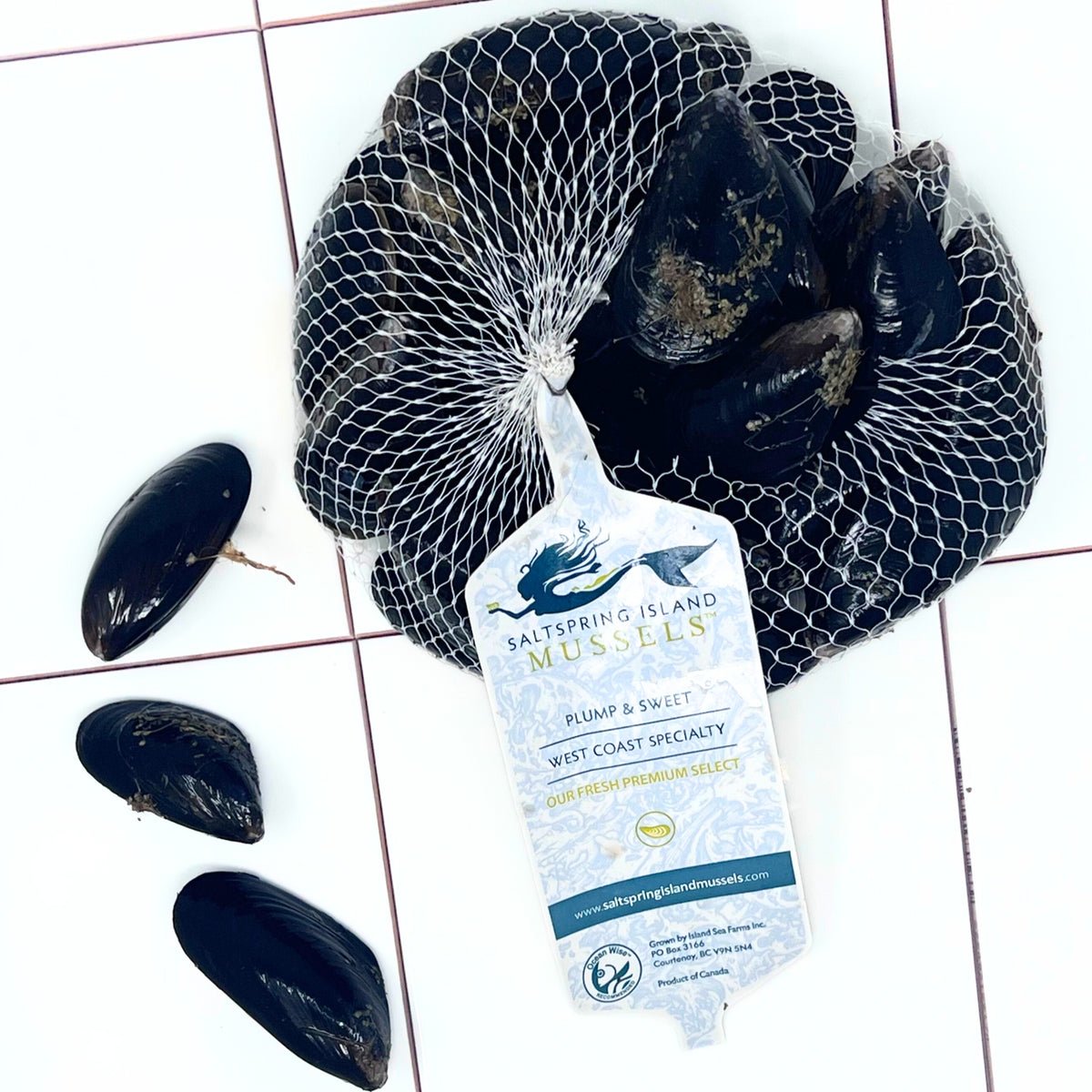 Live Salt Spring Mussels Live Salt Spring Mussels – 2 or 5 lb Bag– Diana's Seafood