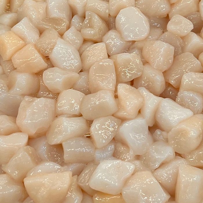 Hokkaido Scallop - S2