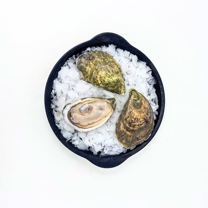 Standish Shore Oysters