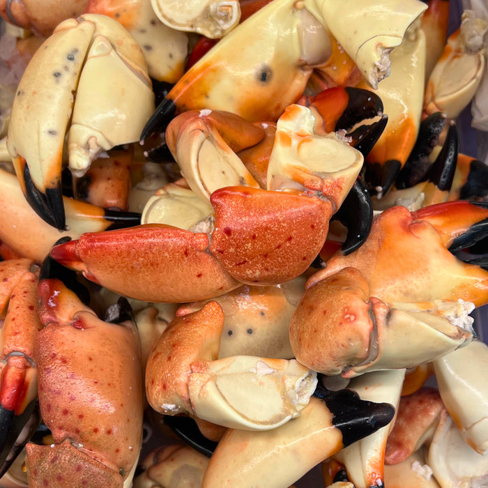 Fresh Stone Crab