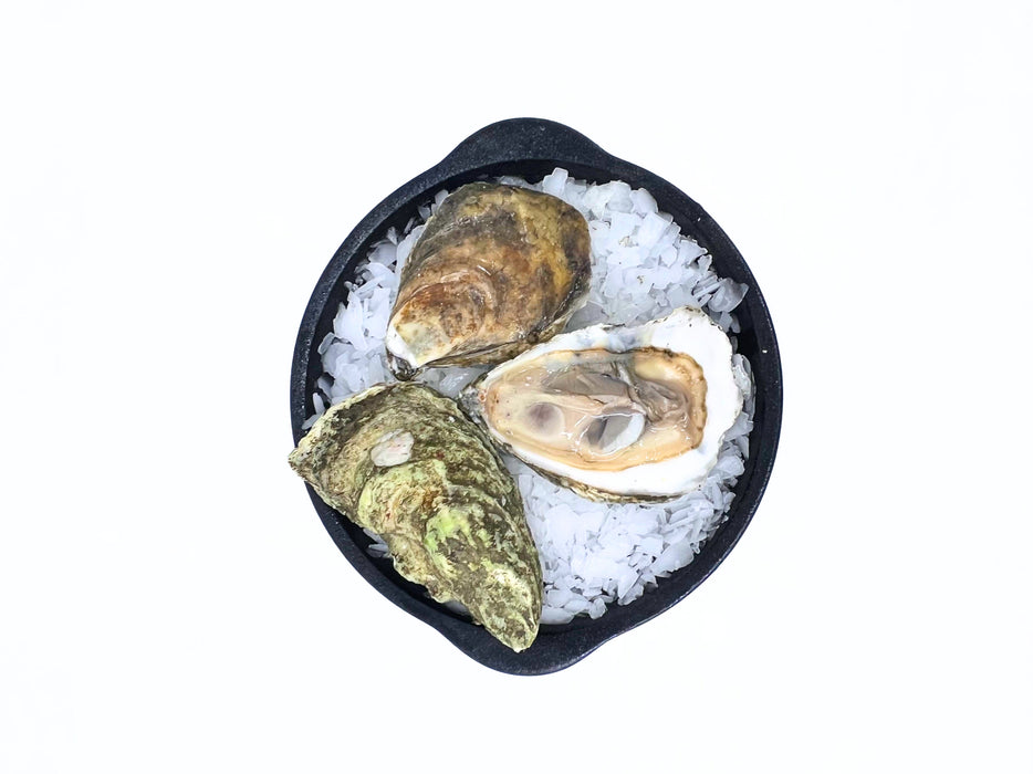 Thatch Island Oysters