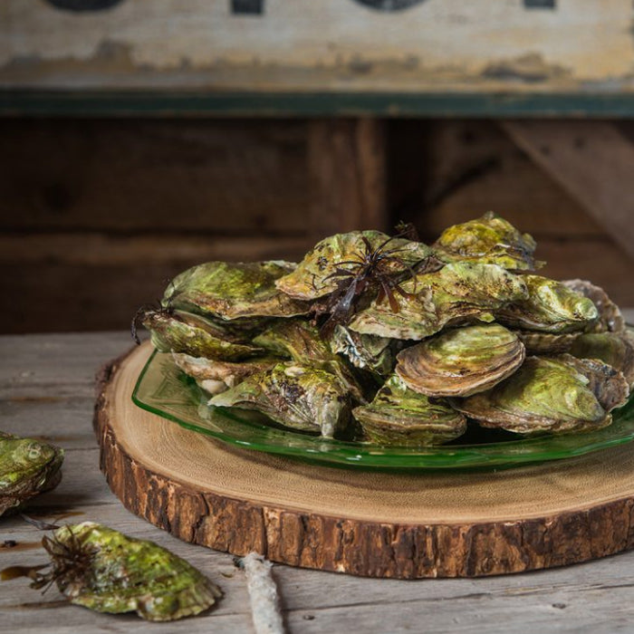 Colville bay Oysters