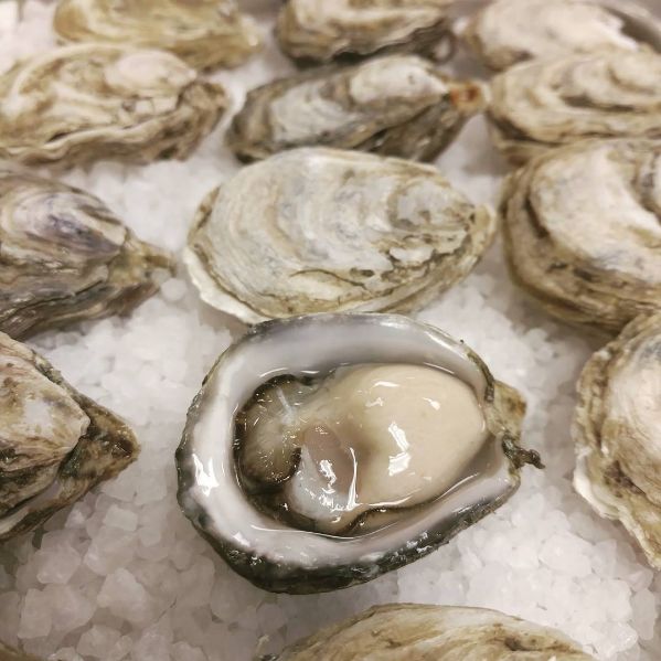 Kusshi Oysters 12 or 60 Count