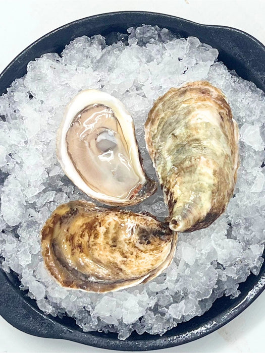 Sand Dune Oysters 12 Count
