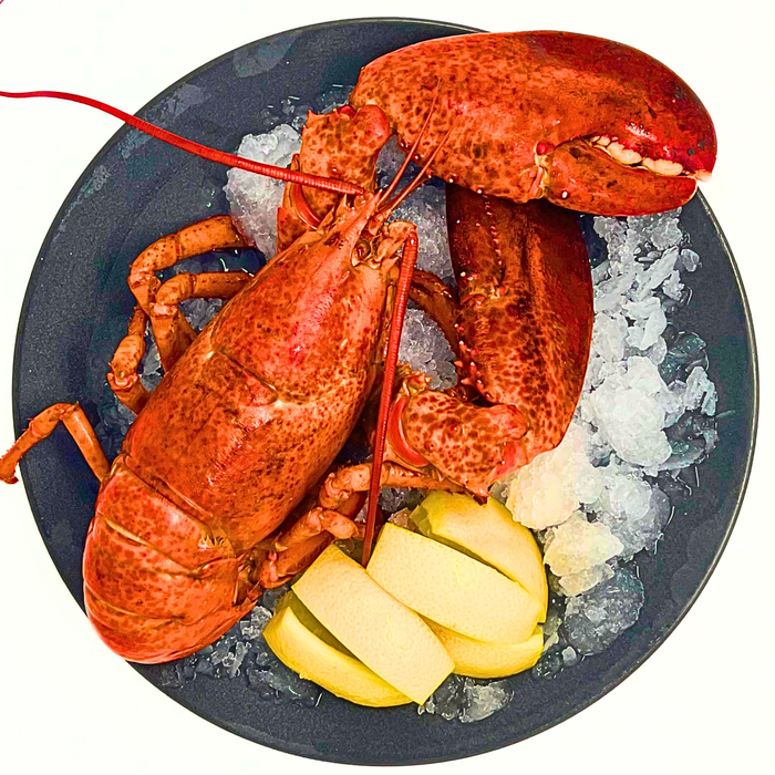 Two Claw Live Lobster 1.25lb