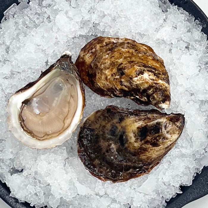 Oyster of The Week: Northern Belle Oysters
