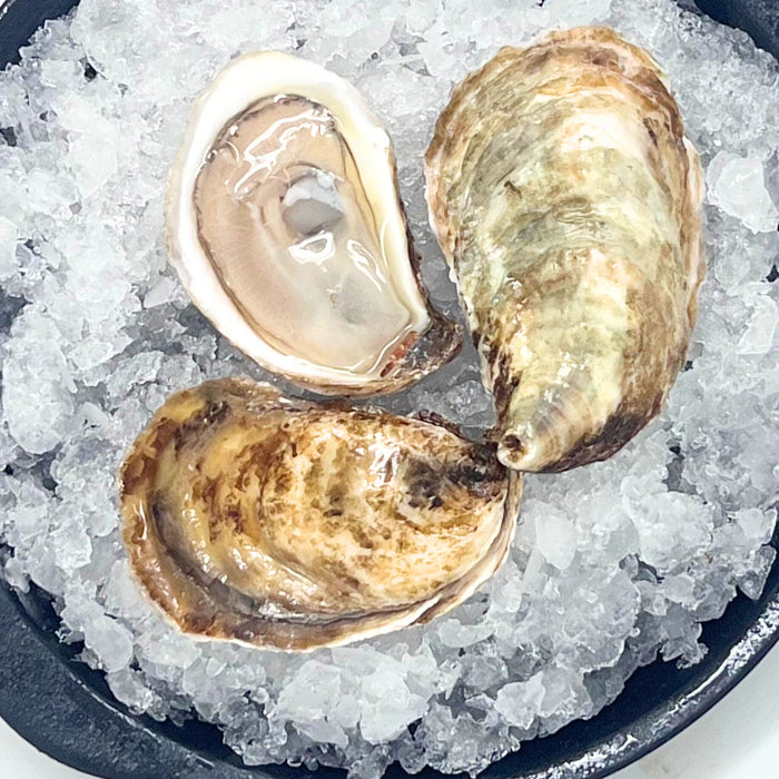 Salt Grass Point Oysters – 100 or 12 Count
