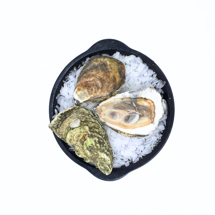Thatch Island Oysters