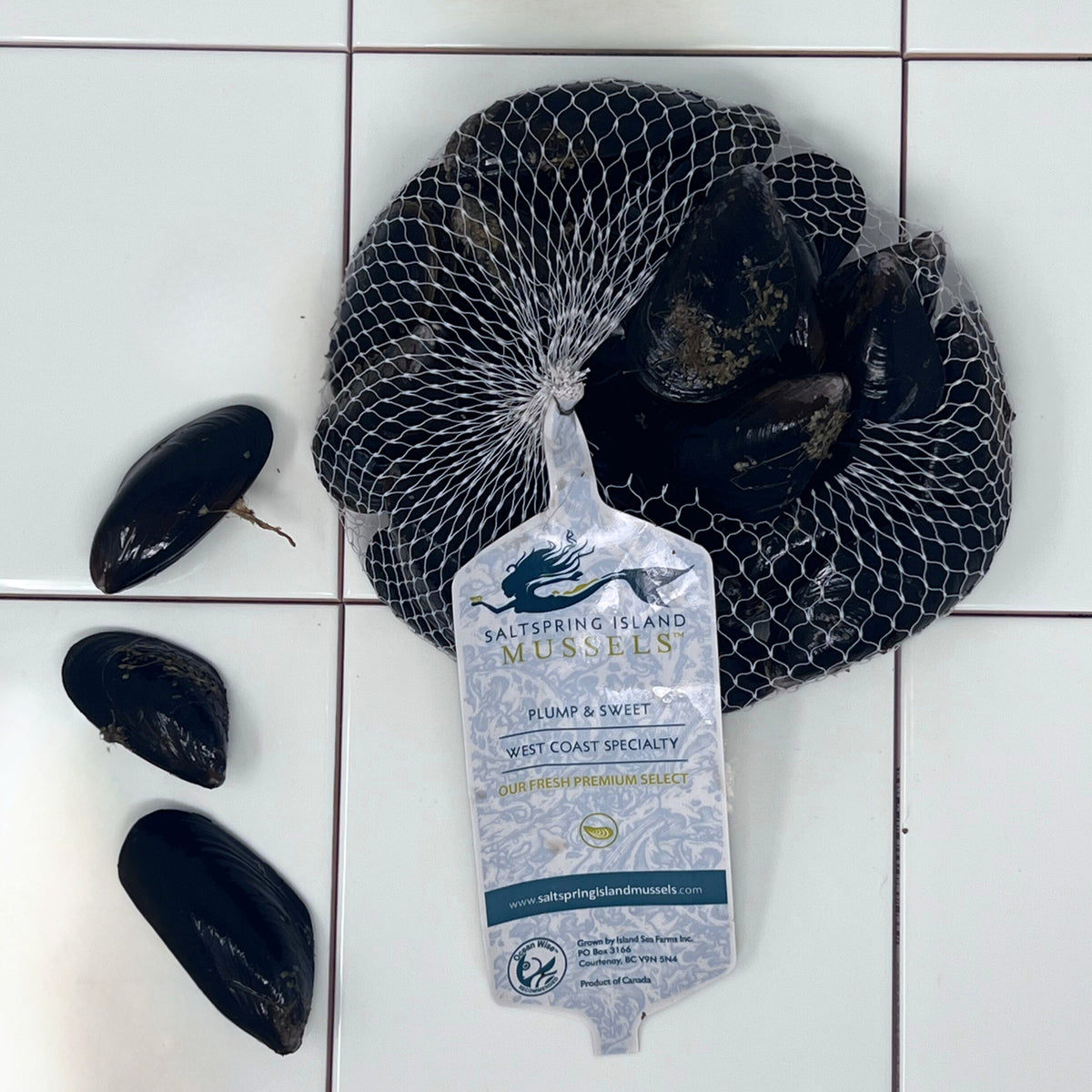 Live Salt Spring Mussels – 2 or 5 lb Bag– Diana's Seafood