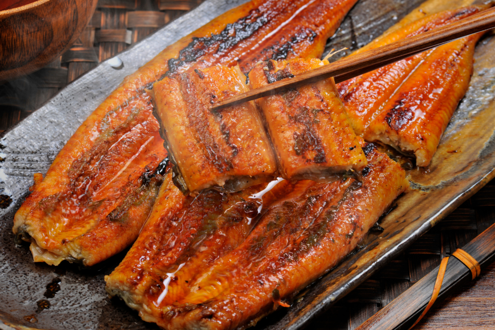 Grilled Eel (Unagi)