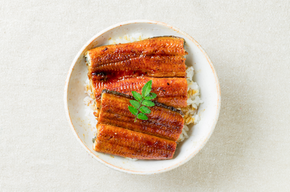 Grilled Eel (Unagi)